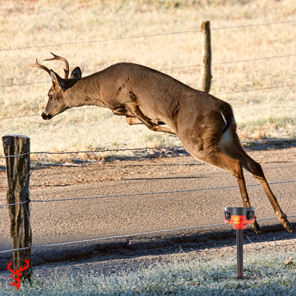 Motion-Activated Deer Strobe Light