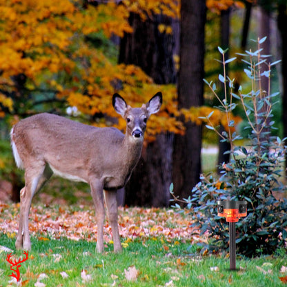 Motion-Activated Deer Strobe Light