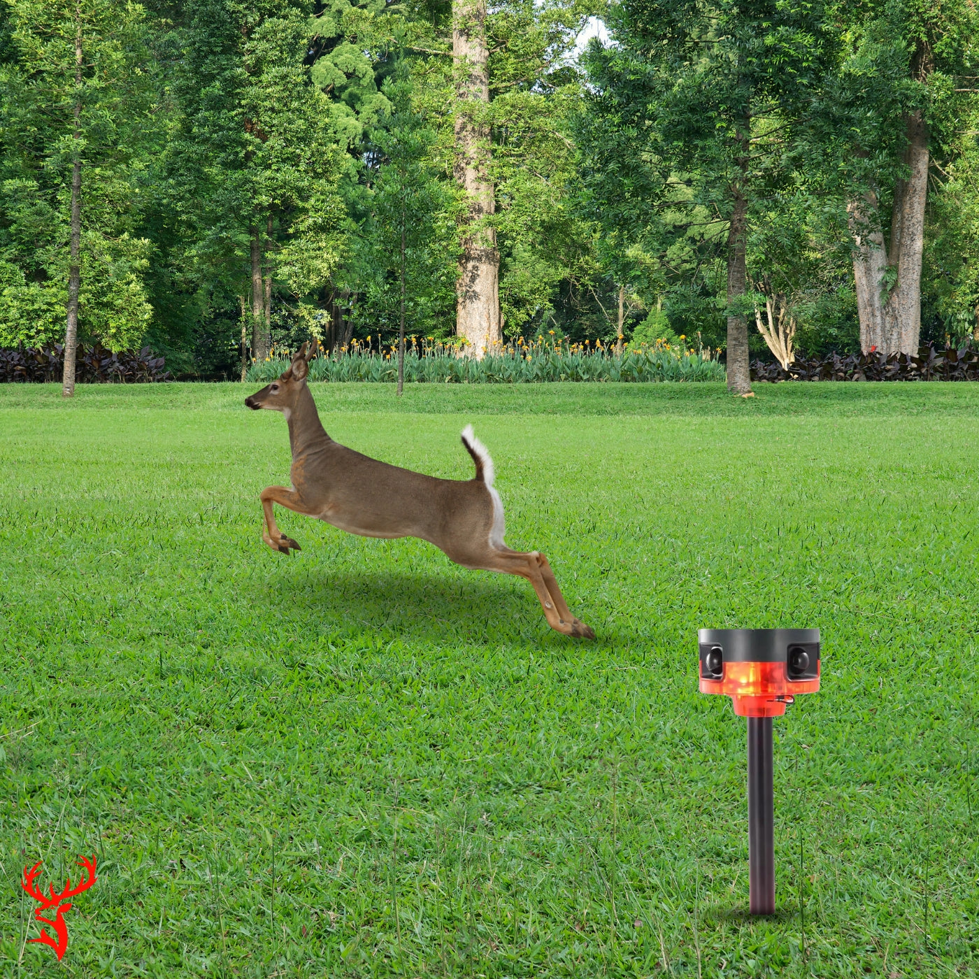 Motion-Activated Deer Strobe Light