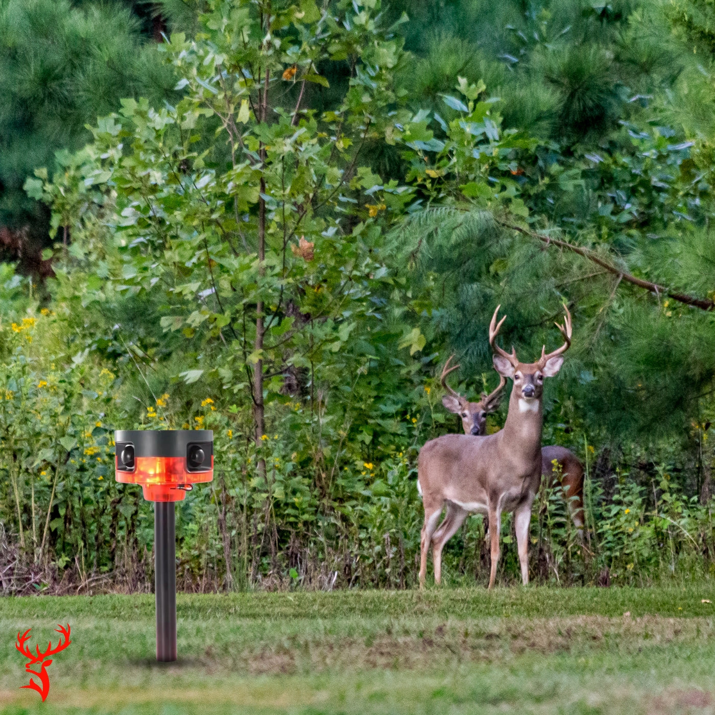 Motion-Activated Deer Strobe Light