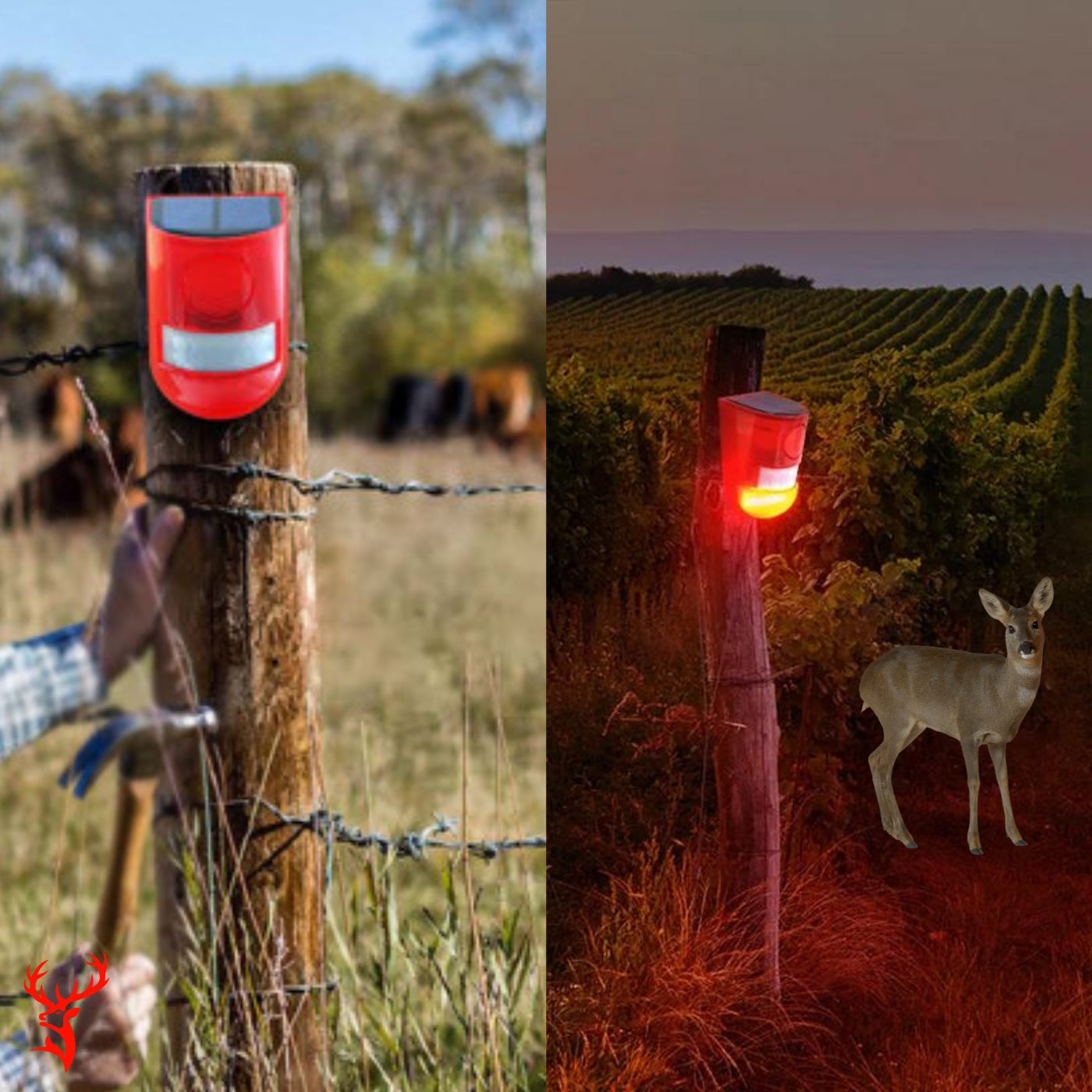 Motion-Activated Sound Alarm for Deer